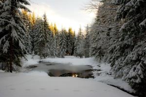 Eno izmed zajetih jezer